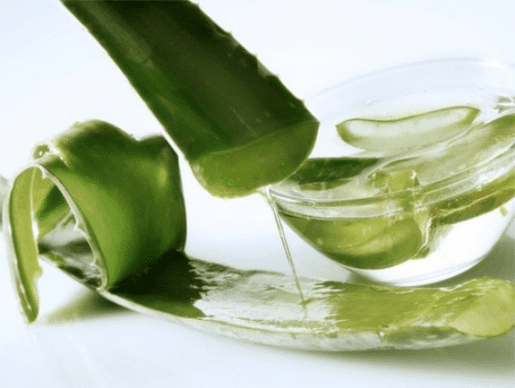 Aloes