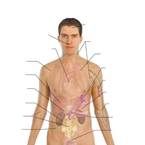 oznaki obecności pasożytów w różnych narządach